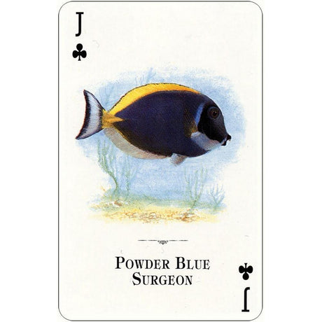 Aquarium Fish of the Natural World Playing Cards by U.S. Game Systems, Inc. - Magick Magick.com