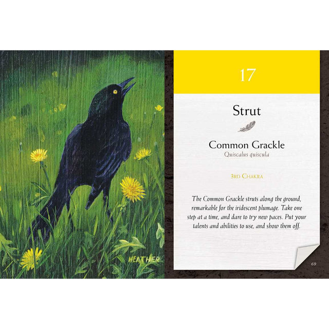 Bird Vibes Meditation Cards by Catherine C. Bastedo, Heather Bale - Magick Magick.com