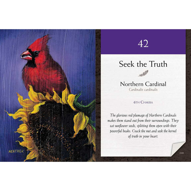 Bird Vibes Meditation Cards by Catherine C. Bastedo, Heather Bale - Magick Magick.com