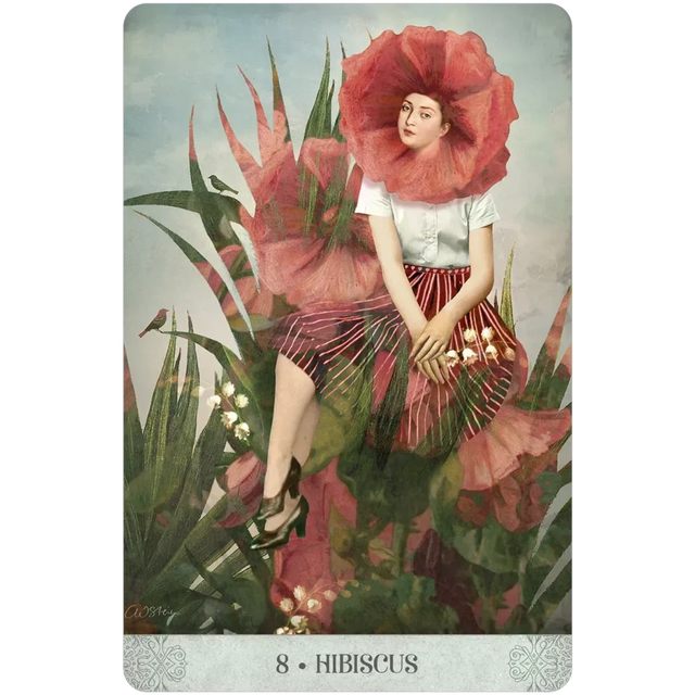 Botanical Dreams Oracle by Lynn Araujo, Catrin Welz-Stein - Magick Magick.com