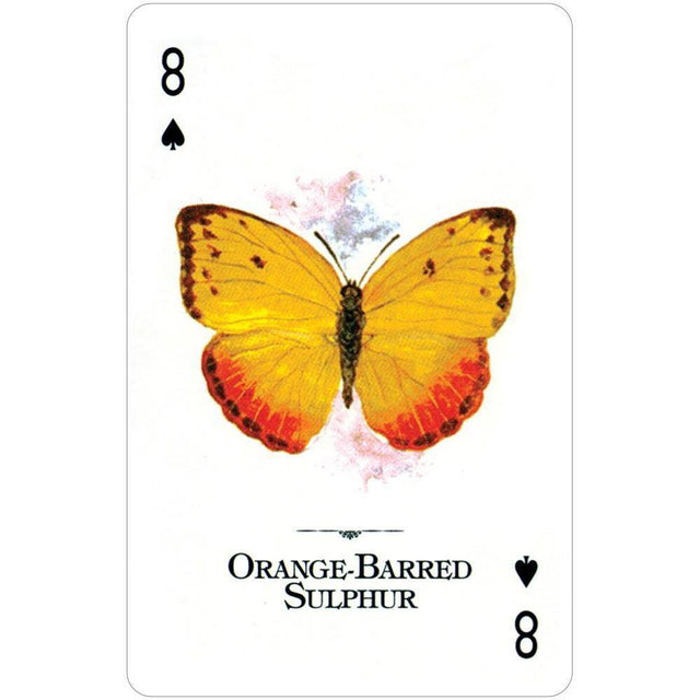 Butterflies of the Natural World Playing Cards by U.S. Game Systems, Inc. - Magick Magick.com