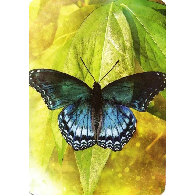 Butterfly Affirmations by Alana Fairchild, Jimmy Manton - Magick Magick.com