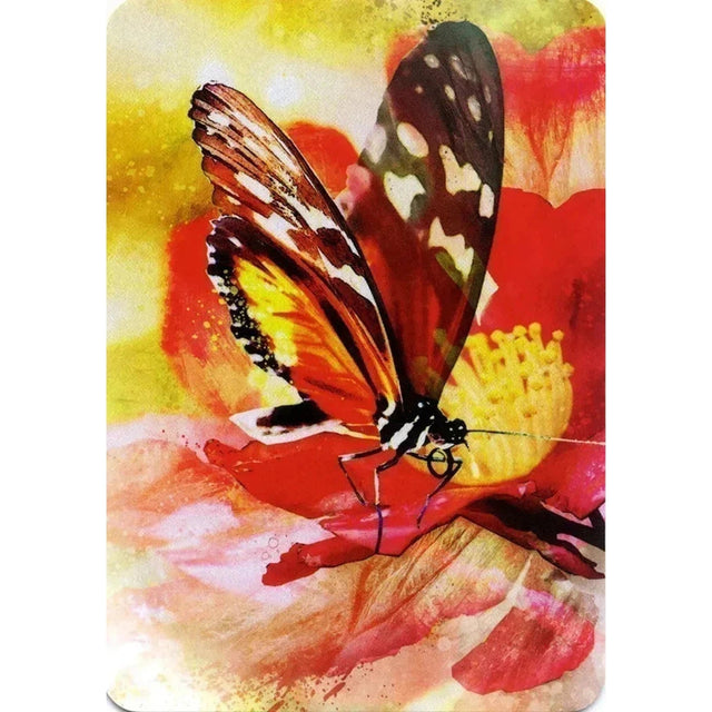 Butterfly Affirmations by Alana Fairchild, Jimmy Manton - Magick Magick.com