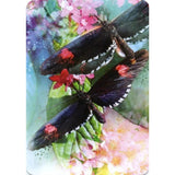 Butterfly Affirmations by Alana Fairchild, Jimmy Manton - Magick Magick.com