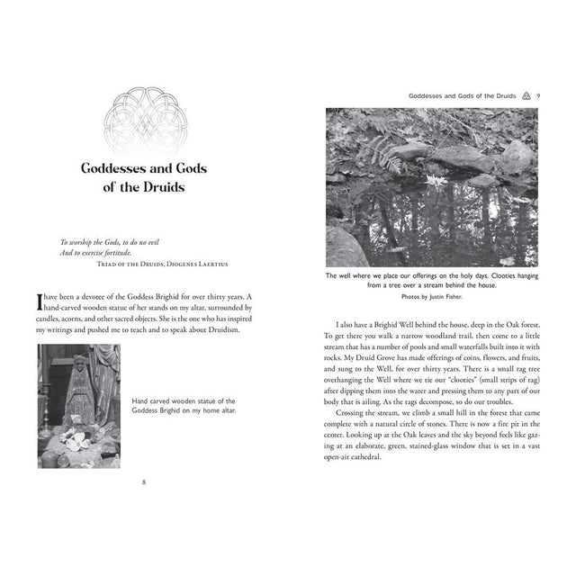 Celtic Druidry: Rituals, Techniques, and Magical Practices by Ellen Evert Hopman - Magick Magick.com