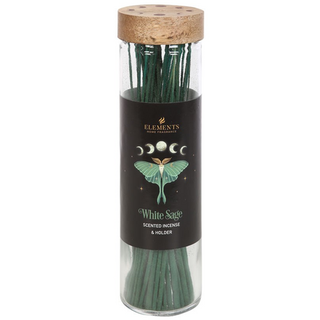 Dark Forest White Sage Glass Incense with Burner (30 Sticks) - Magick Magick.com