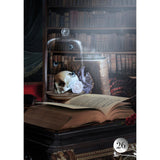 De La Nuit Lenormand Deck by Carole-Anne Eschenazi, Alexandra V. Bach - Magick Magick.com