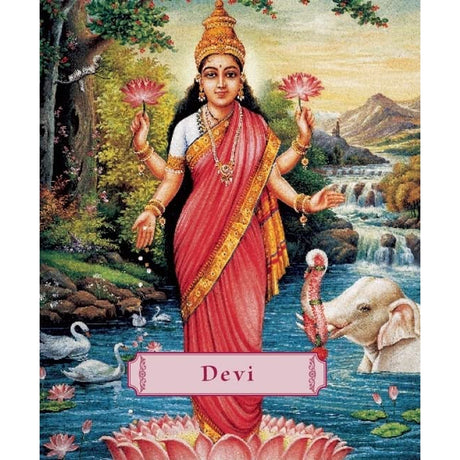 Devi: The Divine Goddess (Hardcover) by James H. Bae - Magick Magick.com