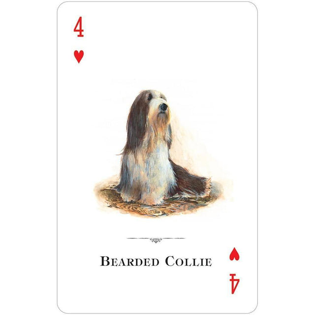 Dogs of the Natural World Playing Cards by U.S. Game Systems, Inc. - Magick Magick.com
