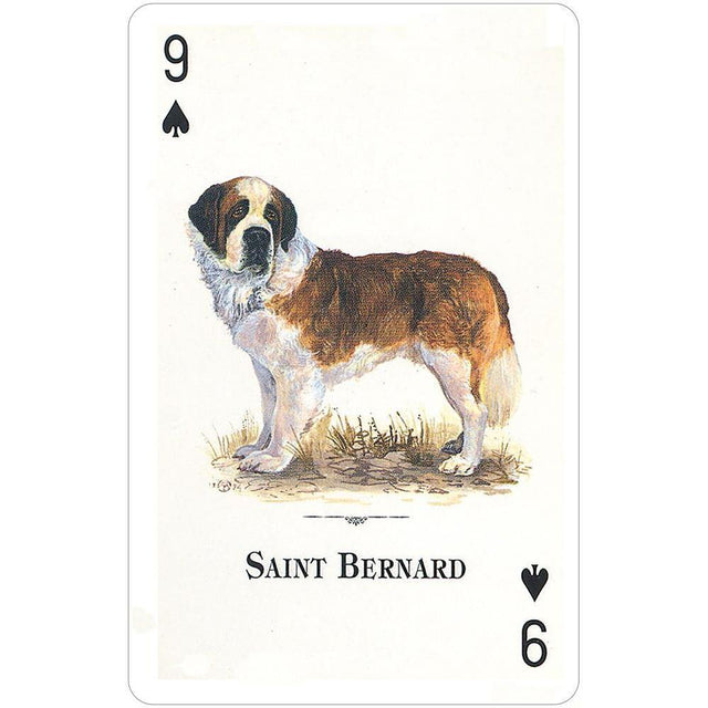 Dogs of the Natural World Playing Cards by U.S. Game Systems, Inc. - Magick Magick.com