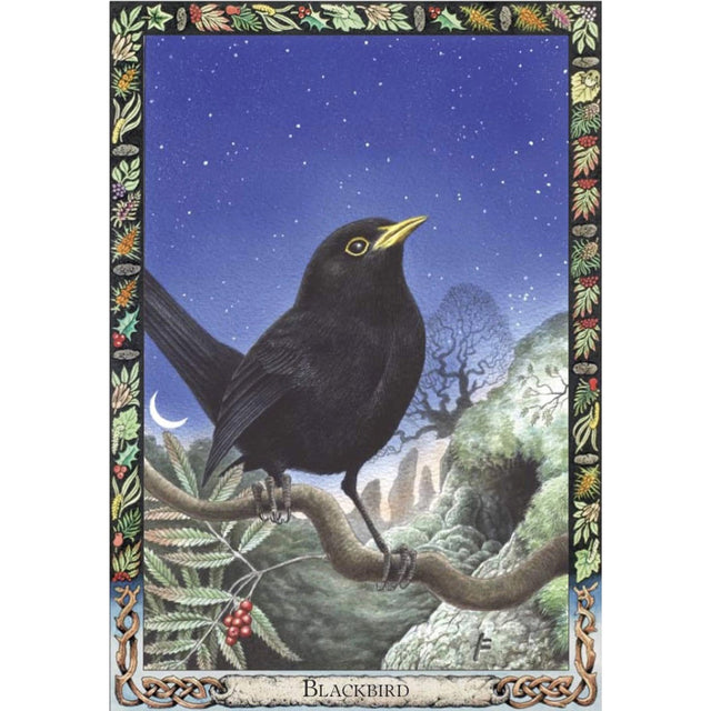 Druid Animal Oracle Deck (Bird) by Philip Carr-Gomm, Stephanie Carr-Gomm - Magick Magick.com