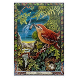 Druid Animal Oracle Deck (Bird) by Philip Carr-Gomm, Stephanie Carr-Gomm - Magick Magick.com