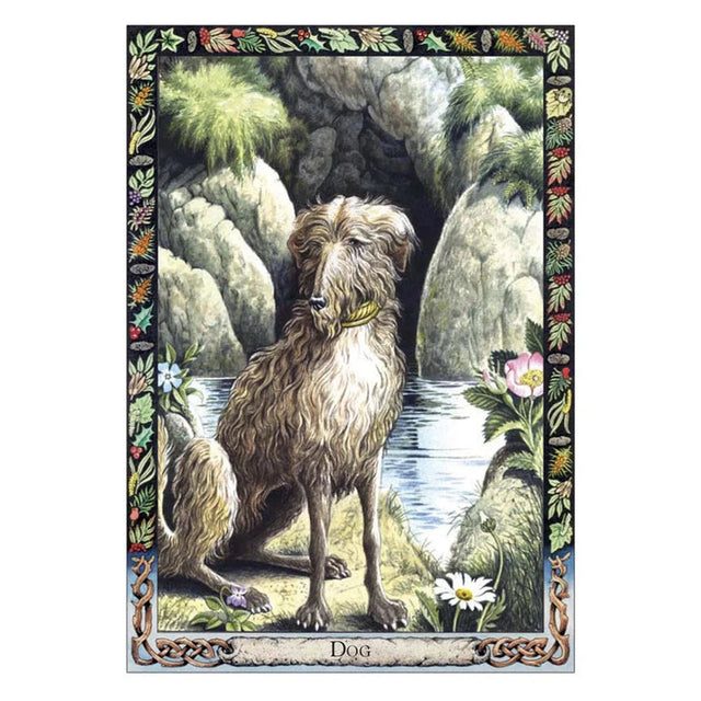 Druid Animal Oracle Deck (Bird) by Philip Carr-Gomm, Stephanie Carr-Gomm - Magick Magick.com