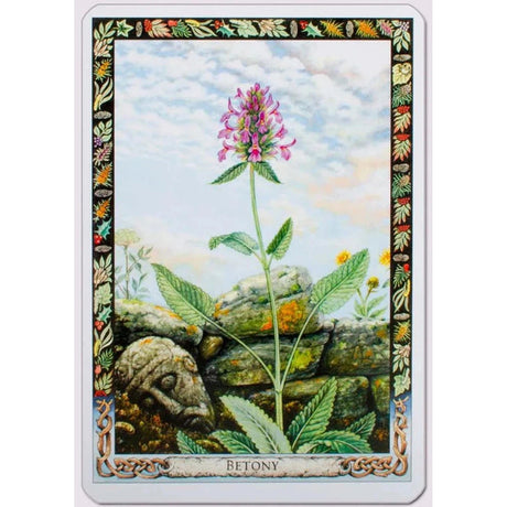 Druid Plant Oracle Deck by Philip Carr-Gomm, Stephanie Carr-Gomm - Magick Magick.com