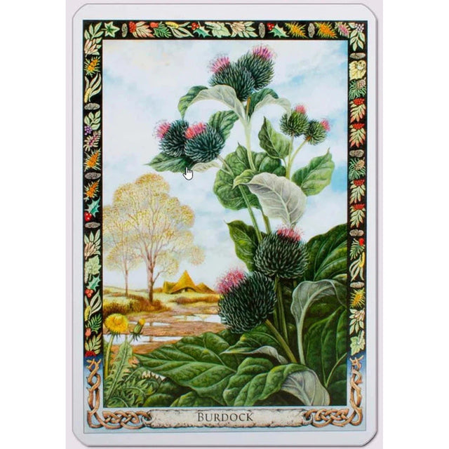 Druid Plant Oracle Deck by Philip Carr-Gomm, Stephanie Carr-Gomm - Magick Magick.com