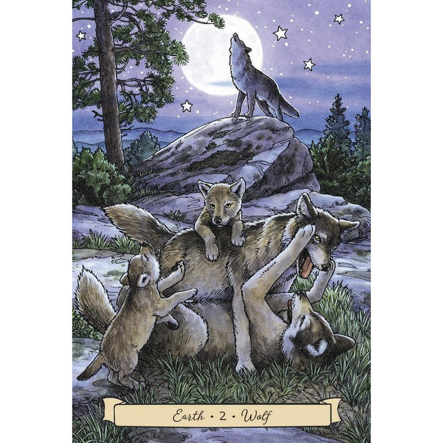 Everyday Witch's Familiars Oracle by Deborah Blake, Elisabeth Alba (Signed Copy) - Magick Magick.com
