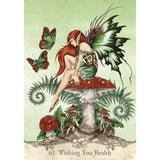 Fairy Wisdom Oracle Deck and Book Set by Amy & Nancy Brown - Magick Magick.com