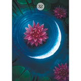 Herbs and Plants Lenormand Oracle Cards by Floreana Nativo, Valeria Casale - Magick Magick.com