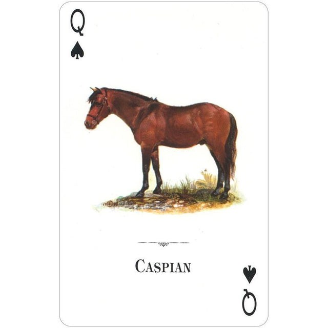 Horses of the Natural World Playing Cards by U.S. Game Systems, Inc. - Magick Magick.com