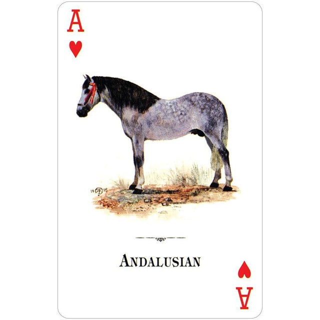 Horses of the Natural World Playing Cards by U.S. Game Systems, Inc. - Magick Magick.com