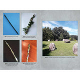 Living Wands of the Druids: Harvesting, Crafting, and Casting with Magical Tools by Jon G. Hughes - Magick Magick.com