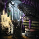 Llewellyn's 2025 Magical Mystical Cats Calendar by Llewellyn, Sheblackdragon - Magick Magick.com