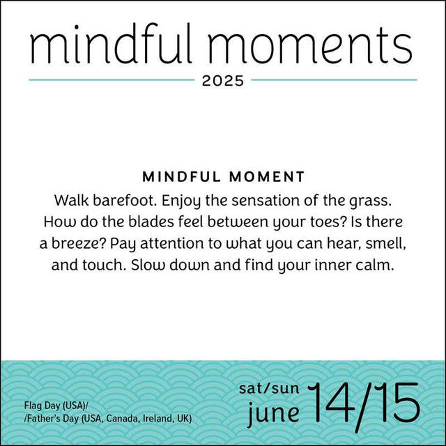 Mindful Moments 2025 Day-to-Day Calendar by Andrews McMeel Publishing - Magick Magick.com