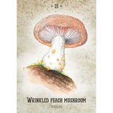 Mushroom Spirit Oracle by Nicola McIntosh - Magick Magick.com