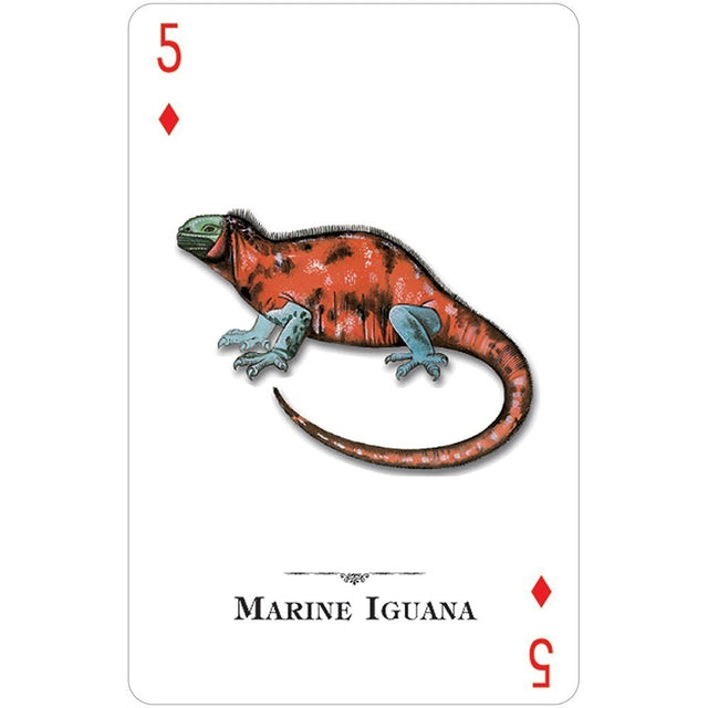 Reptiles & Amphibians of the Natural World Playing Cards by U.S. Game Systems, Inc. - Magick Magick.com