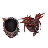 Serpent Infection Skull with Red Dragon Display Box - Magick Magick.com