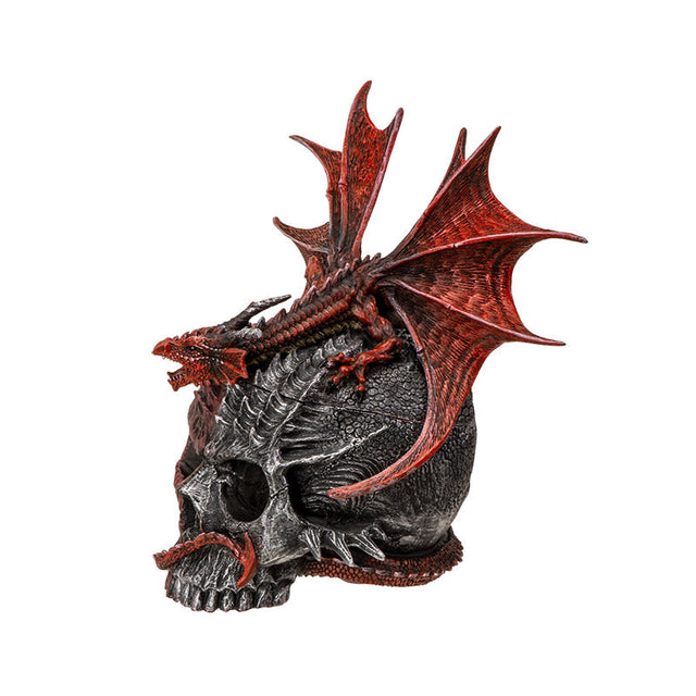 Serpent Infection Skull with Red Dragon Display Box - Magick Magick.com