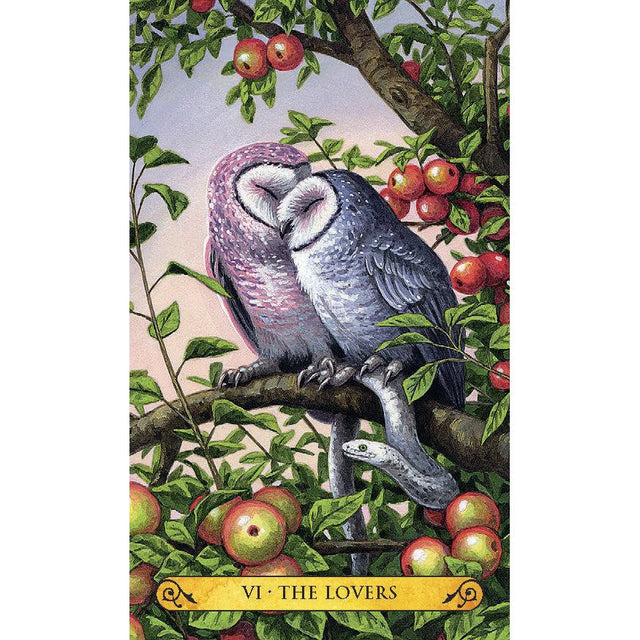 Tarot of the Owls Mini Deck by Pamela Chen, Elisabeth Alba - Magick Magick.com