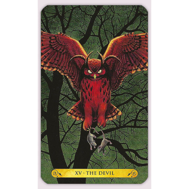 Tarot of the Owls by Pamela Chen, Elisabeth Alba - Magick Magick.com