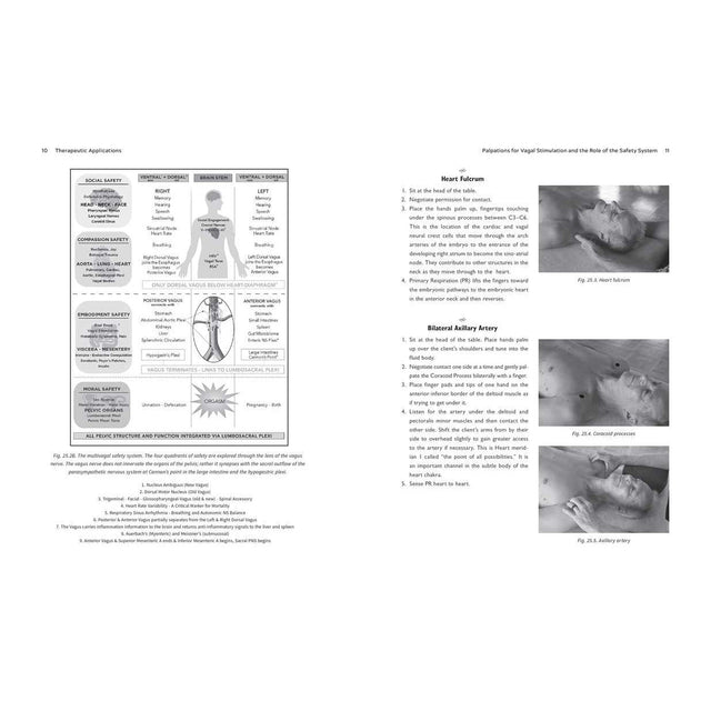 The Biodynamics of the Immune System by Michael J. Shea - Magick Magick.com