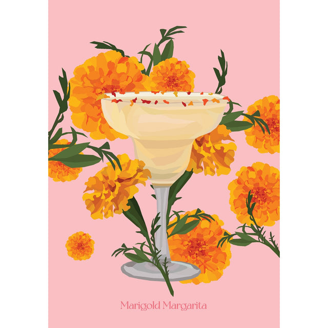The Botanical Cocktail Deck of Cards by Elouise Anders, Annabelle Lambie - Magick Magick.com