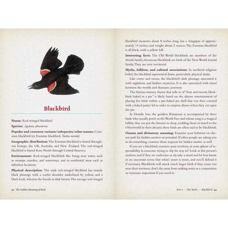 The Hidden Meaning of Birds-A Spiritual Field Guide by Arin Murphy-Hiscock - Magick Magick.com