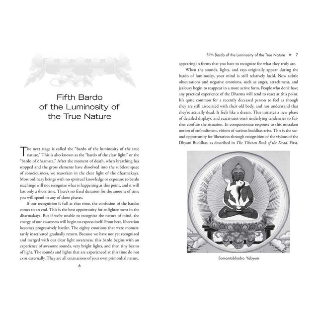 The Six Bardos of the Tibetan Book of the Dead by Khenchen Palden Sherab Rinpoche, Khenpo Tsewang Dongyal Rinpoche - Magick Magick.com