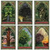 The Spirit of Nature Oracle by John Matthews, Will Worthington - Magick Magick.com