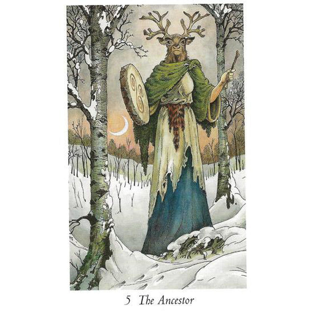 The Wildwood Tarot: Wherein Wisdom Resides by Mark Ryan, John Matthews, Will Worthington - Magick Magick.com