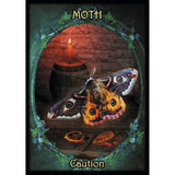 Witches' Familiars Oracle Cards by Barbara Meiklejohn-Free, Flavia Kate Peters, Kate Osborne - Magick Magick.com