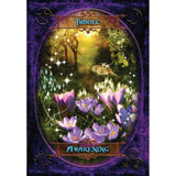 Witches' Wisdom Oracle by Barbara Meiklejohn-Free & Flavia Kate Peters - Magick Magick.com