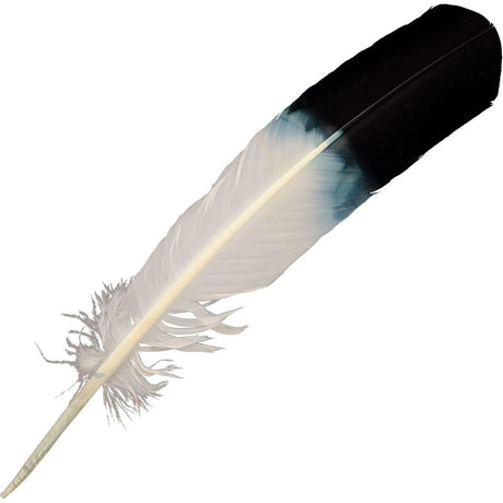 10-12" Smudging Eagle Feather - Magick Magick.com