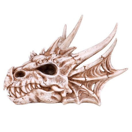 10" Dragon Skull Statue - Magick Magick.com
