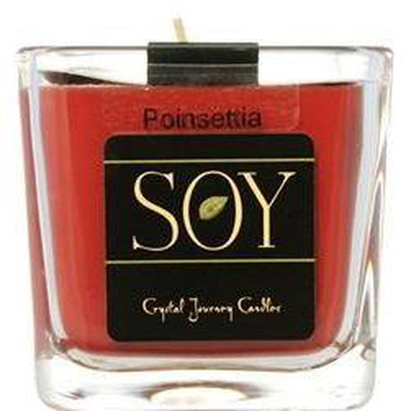 11 oz Soy Jar Candle - Poinsettia - Magick Magick.com