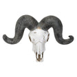 13" Ram Skull Statue - Magick Magick.com