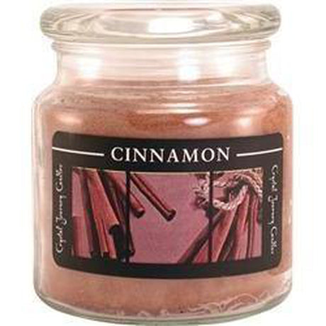 16 oz Scented Jar Candle - Cinnamon - Magick Magick.com