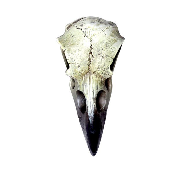 2.3" Reliquary Raven Skull - Magick Magick.com