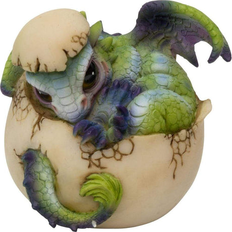 3.25" Polyresin Baby Dragon Figurine - Emerging from Egg - Magick Magick.com
