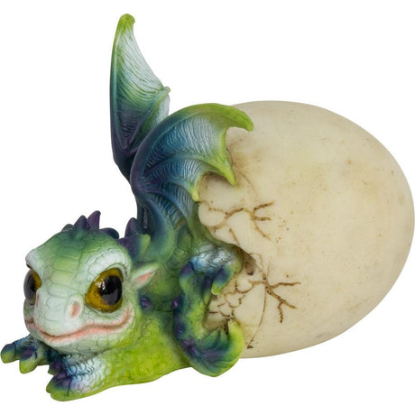 3.5" Polyresin Baby Dragon Figurine - Hatching from Egg - Magick Magick.com