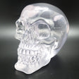 4.5" Translucent Skull Statue - Magick Magick.com